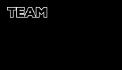 sportalpen team sportalpen marketing sportalpen GIF