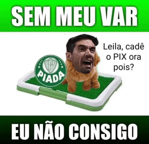 Santos Corinthians GIF