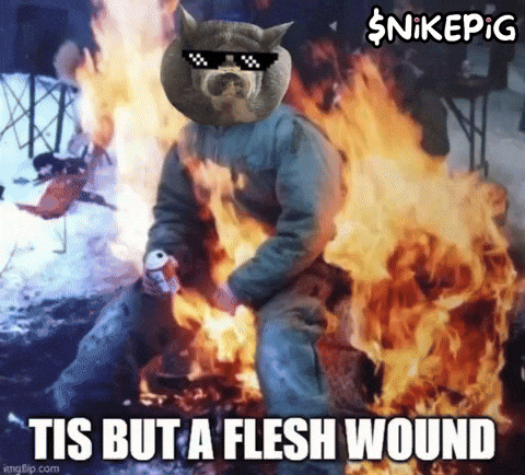 On Fire Burn GIF by Nikepig