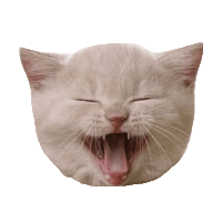smile STICKER by imoji