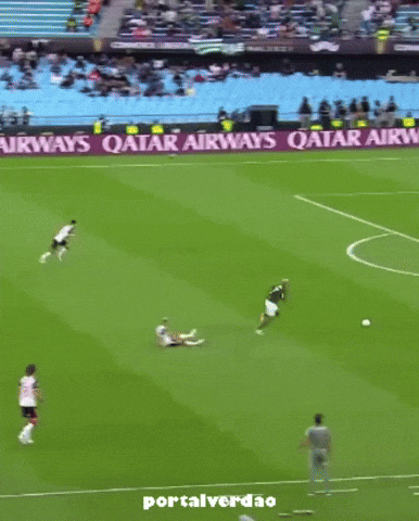 Libertadores Sep GIF