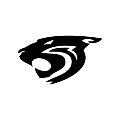 Wildcats Sticker by Unit5Music