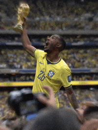 Copa Do Mundo Brazil GIF