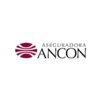 Panama Insurance Sticker by Aseguradora Ancón