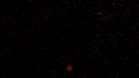 Grabbing Video Games GIF by El Presidente