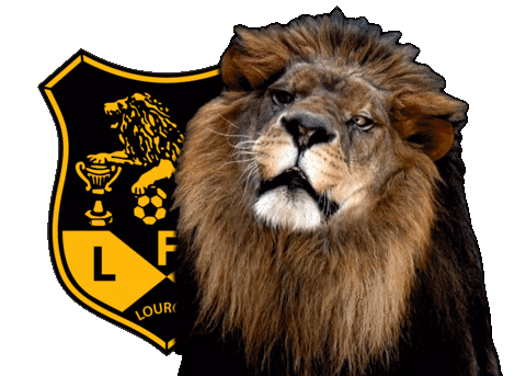 Soccer Win Sticker by Lusitânia de Lourosa FC