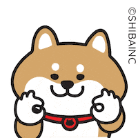 柴犬 Ok Sticker by SHIBAINC
