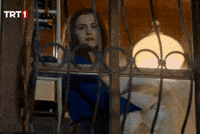Trt 1 GIF