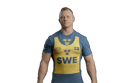 Sweden Bench Sticker by SBDApparel