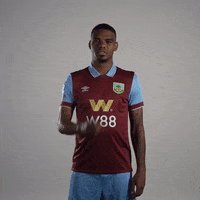 Premier League Shut Up GIF by Burnley Football Club