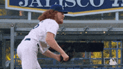 Regular Season Reaction GIF by MLB