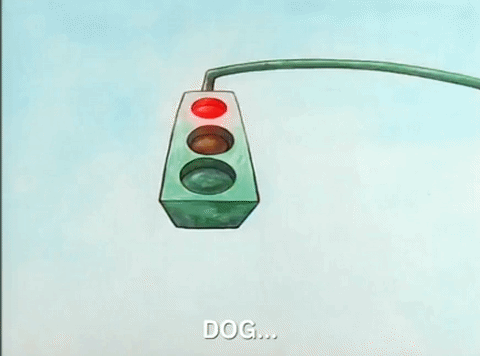 nicksplat GIF