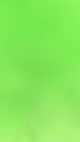 Beetle GIF by Youtooz