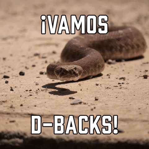 ¡Vamos DBacks!