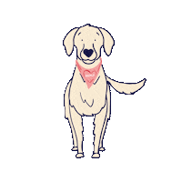 Holiday Benji Sticker by Dr. Brandt Skincare