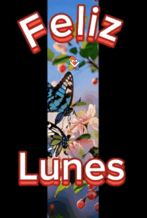 Salud Buenos Dias GIF by Murcianys LLC