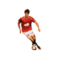 Soccer Usl2 Sticker by Des Moines Menace