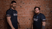 Esports Handshake GIF by Rogue