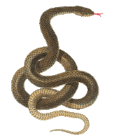 adan y eva Sticker by Warner Music Latina