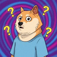 Shiba Inu What GIF by Doge Pound