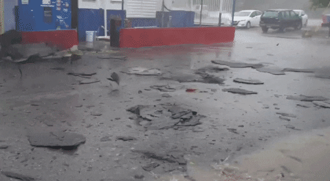 Puerto Rico Storm GIF by GIPHY News