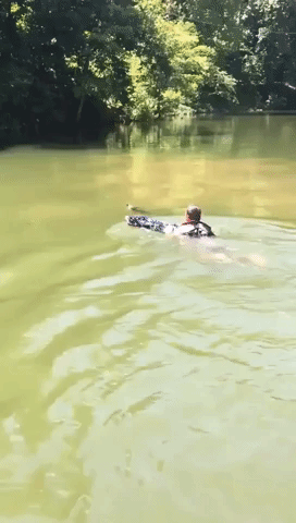 Boater Jumps Into Lake to Save Struggling Baby Deer in Knoxville