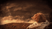 Dave Meyers GIF by P!NK
