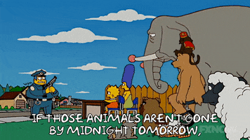 Lisa Simpson GIF by The Simpsons