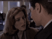 x files GIF by The X-Files