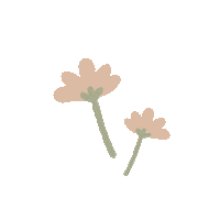 huanyi illustration nature flower vintage Sticker