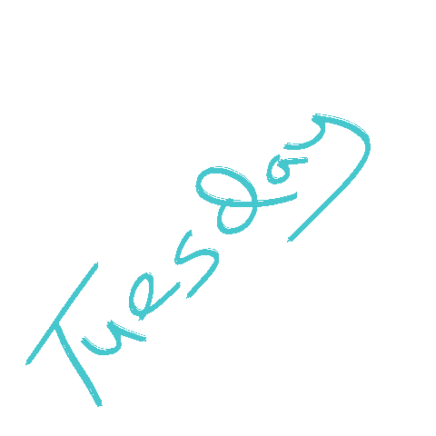 Day Blogging Sticker by XOmisse