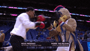 regis prograis celebrity GIF by NBA