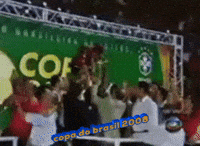 Copa Do Brasil 2008 GIF