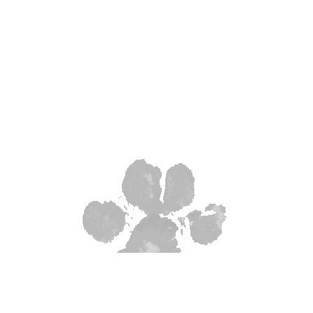 lovindog giphygifmaker dog paw hunde Sticker