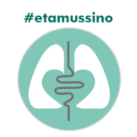 Tamusjuntos GIF by E. Tamussino