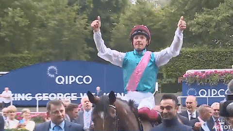 Enable Horse Racing GIF by Ascot Racecourse