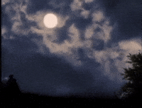 Mask Zorro GIF