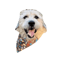 Friends Ill Be There For You Sticker by Geekster Pets
