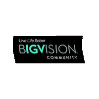 BIGVISIONNYC sober bv bigvision Sticker