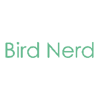 Bird Vogel Sticker by The_Taxifurmist