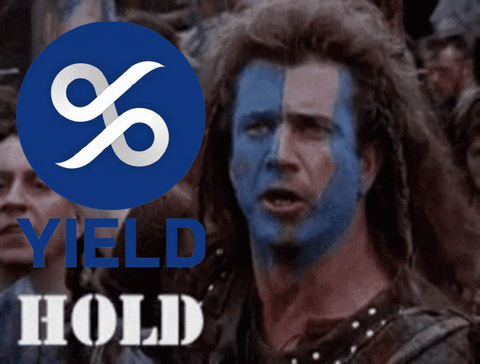 Hodl GIF by YIELD