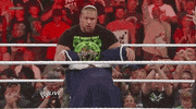 triple h wrestling GIF by WWE