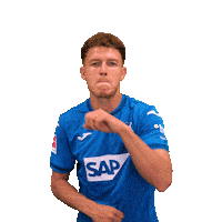 Dennis Geiger Yes Sticker by TSG Hoffenheim