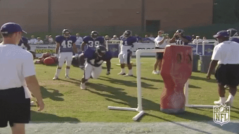 National Football League GIF by NFL