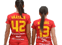 Floorball Salibandy Sticker by F-liiga