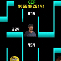 Maze 141 Mose GIF