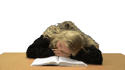 Student Sleeping Sticker by Høgskulen i Volda