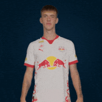 Football Sport GIF by FC Red Bull Salzburg