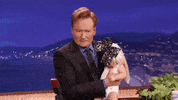 andy richter conan obrien GIF by Team Coco