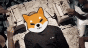 Shib Coin GIF by SHIB MEMES
